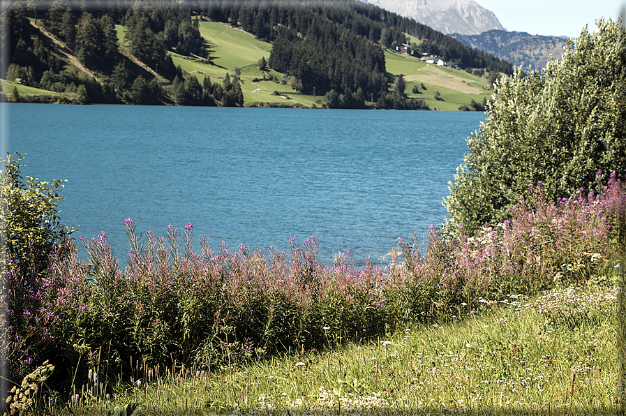 foto Lago di Resia